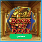 book of dead jackpott