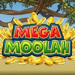 mega moolah jackpots